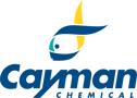 Cayman Logo-RGB
