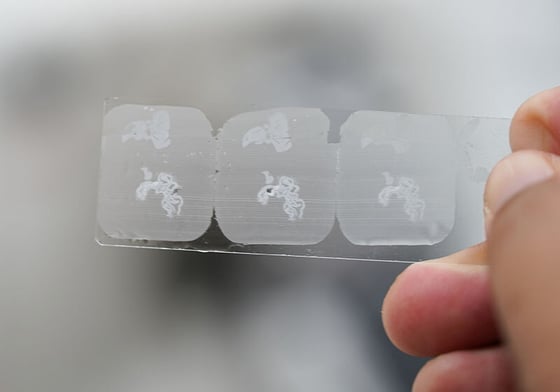 An image of a hand holding up three slices of paraffin-embedded tissue on a slide