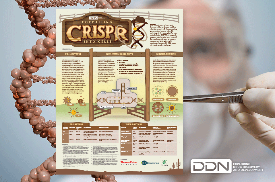 43104_CRISPR-Coralling-Infographic958x635